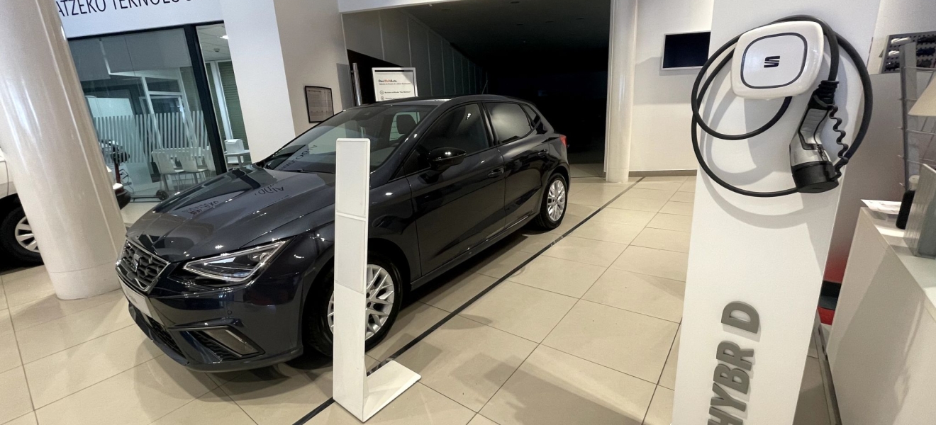 Inergetika y VASA Taldea: Una alianza de éxito en la promoción de la movilidad eléctrica